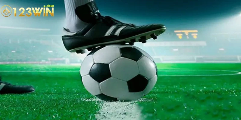 Các bí kíp cách cá cược thể thao 0123WIN hiệu quả