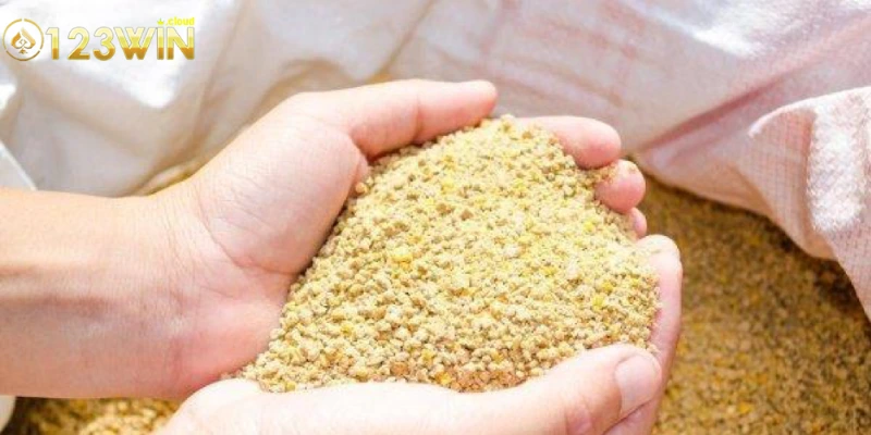 Cách chọn lựa thức ăn cho chiến kê phù hợp